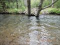 camp 05-17-13 016